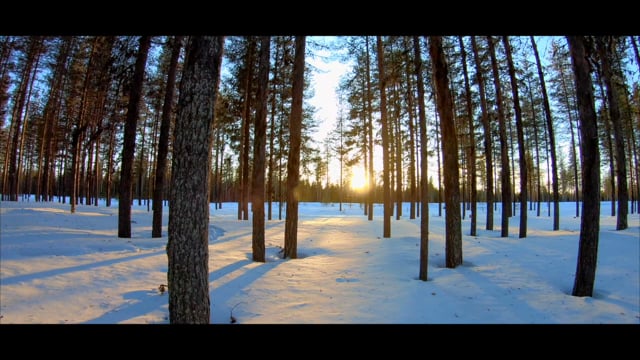 Vimeo